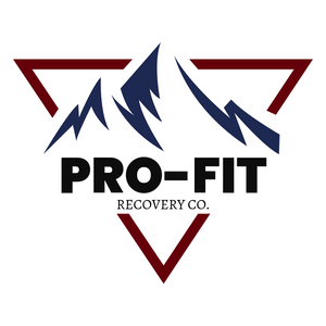 Pro-fitrecovery.com